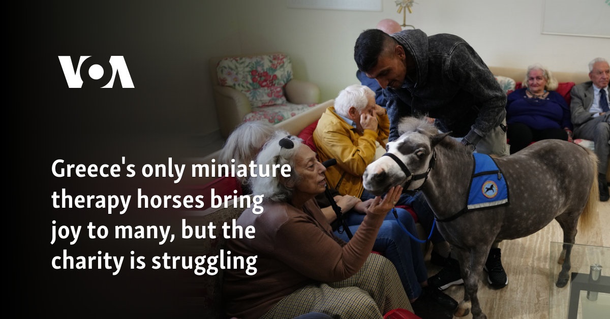 Greece’s only miniature therapy horses bring joy to many, but the charity is struggling