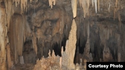 The stalagmites of Yok Balum cave provided opportunities for researchers to study rainfall records. (Photo courtesy of Douglas Kennett, Penn State)
