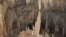 The stalagmites of Yok Balum cave provided opportunities for researchers to study rainfall records. (Photo courtesy of Douglas Kennett, Penn State)