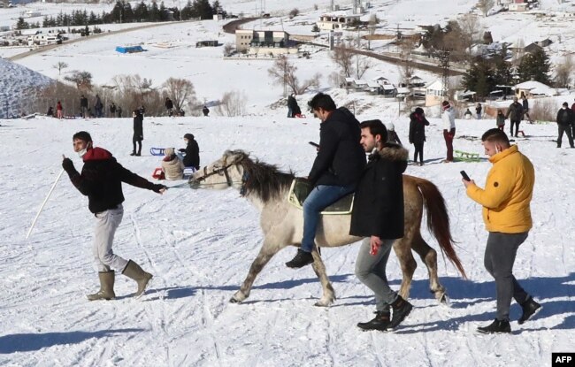 Seorang pria memegang kuda di atas salju di Resor Ski Elmadag, Ankara, setelah hujan salju turun di kawasan tersebut, 22 Januari 2021. (Adem ALTAN / AFP)