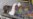 Varying Accounts of Nigerian Village Bombing Spark Debate About Cover-up