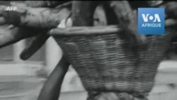 En 2020, 17 autres pays africains célèbrent 60 ans d'indépendance