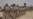 Nigerian Army Holds Drill in Sambisa Forest, Former Boko Haram Stronghold