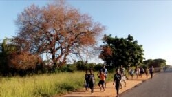 Crianças abandonam escolas no Namibe devido à seca -2:40