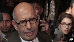 모하메드 엘바라데이 전 국제원자력 기구(IAEA) 사무총장