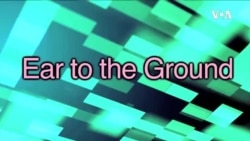 一分钟美语 Ear to the Ground