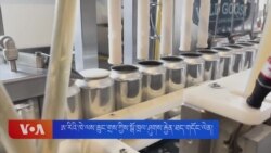 ཨ་རིའི་ཁེ་ལས་ཆུང་གྲས་ཀྱིས་སྒོ་ཁྲལ་ཤུགས་རྐྱེན་ཐད་གདོང་ལེན།