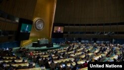 Les Nations unies le 13 décembre 2018.