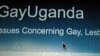 Africa's Gay Activists Use Internet to Advance Homosexual Rights