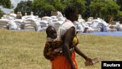 Building Resilience Against Hunger