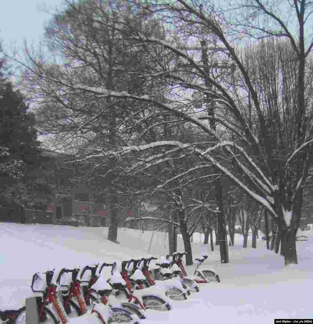 Washington DC Snow