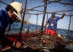 David Murray, right, president of the Oracabessa Fishers Association and warden for the Oracabessa Fish Sanctuary, checks his own pot while patrolling outside the reef's no-take zone in Oracabessa, Jamaica, Feb. 13, 2019.