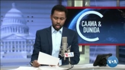 Caawa iyo Dunida
