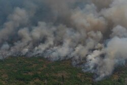 Wildfires consume an area near Porto Velho, Brazil, Aug. 23, 2019. Brazilian state experts have reported a record of nearly 77,000 wildfires so far this year, up 85% over the same period in 2018.