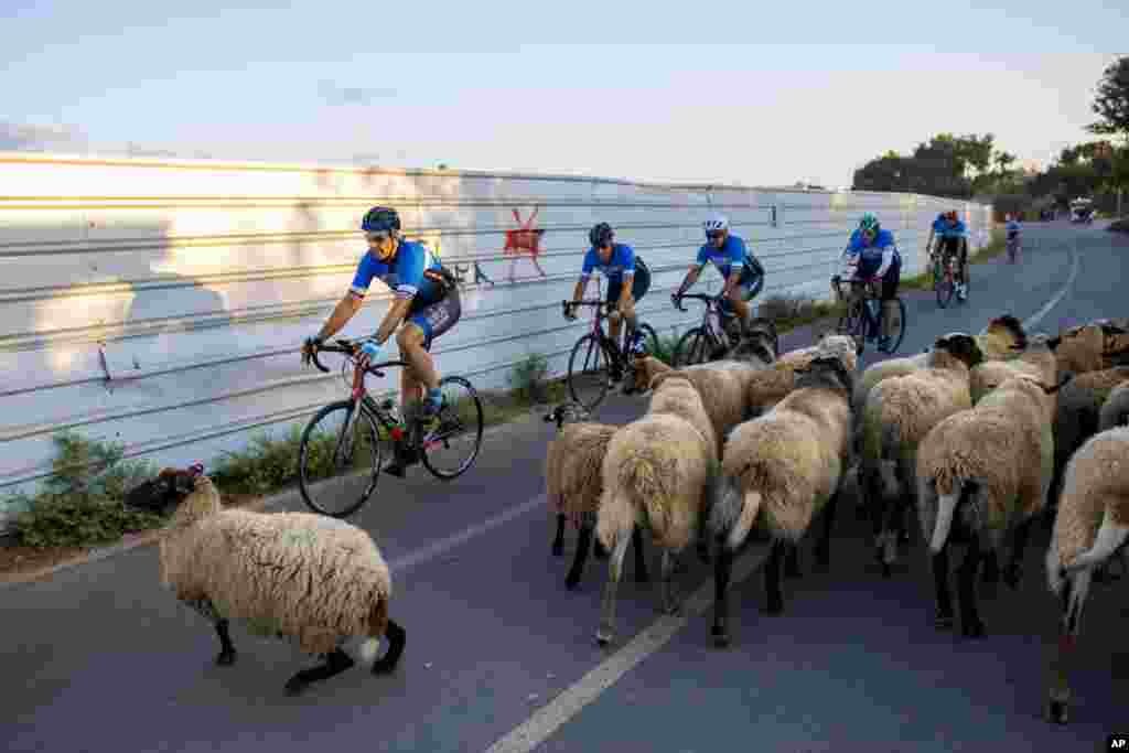 A group of cyclists ride during a nationwide lockdown to slow the spread of the coronavirus, at Hayarkon park in Tel Aviv, Israel.