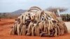 Ivory that was confiscated in Singapore in 2002 and returned to Kenya is burned by Kenya Wildlife Service on July 20,2011 (IFAW/S. Njumbi)