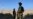 Taliban Bomber Targets Army Bus in Afghan Capital