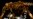 From Tiny to Titan: Baby Dinosaur Fossils Reveal Megagrowth