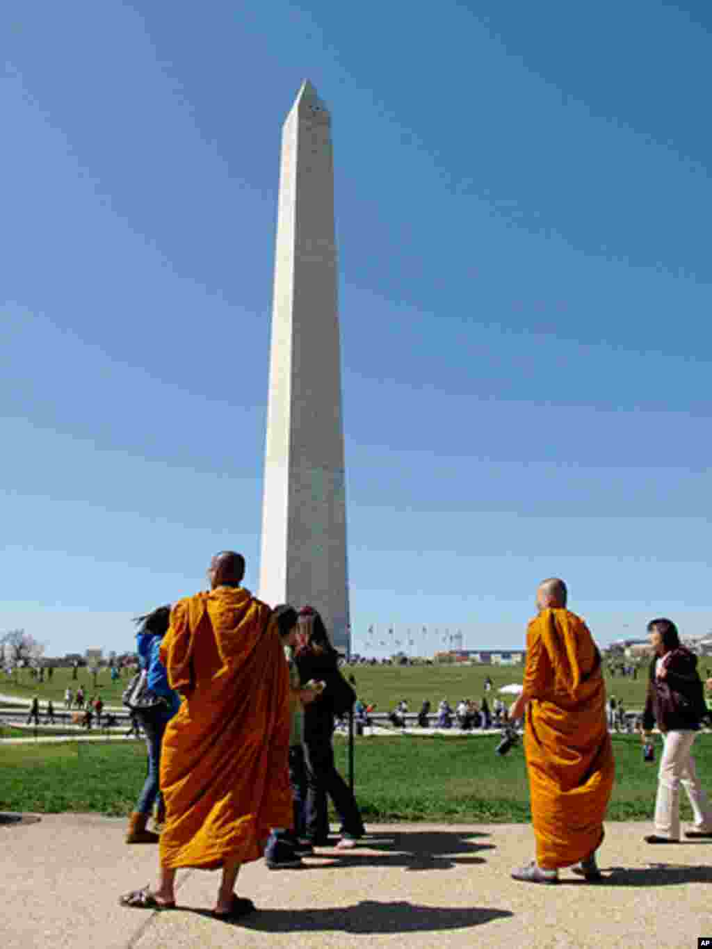 [워싱턴 D.C. 벚꽃 축제] 워싱턴의 봄