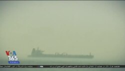 اخبار شامگاهی