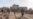 Videos de la guerra entre Rusia y Ucrania se usan para desinformar sobre Israel-Hamás y Yemen