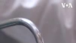 Պաղպաղակի սիրահարների համար