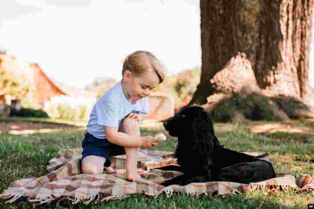 This handout photo issued by William and Kate, the Duke and Duchess of Cambridge, shows Prince George with the family dog Lupo, at Sandringham in Norfolk, England. Prince George celebrates his third birthday on July 22, 2016.