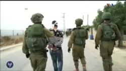 اخبار شامگاهی