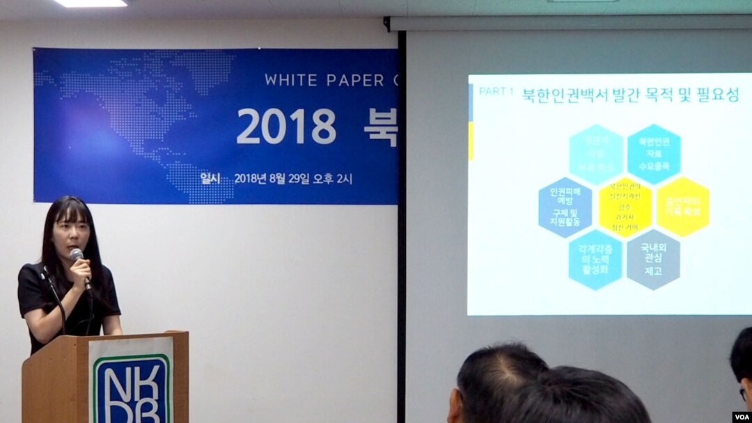 안현민 연구원이 29일 북한인권정보센터에서 열린 2018 북한인권백서 세미나에서 발표하고 있다.