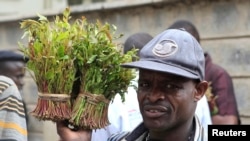 FILE - A vendor holds bundles of khat leaves at an open air wholesale market in Kenya's capital, Nairobi, July 10, 2013. Somalia and Kenya have squabbled over conditions for trade of the plant.