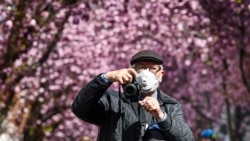 A man with a mask to protect from the coronavirus takes pictures under blooming cherry trees in Bonn, Germany, Sunday, April 5, 2020. (AP Photo/Martin Meissner)
