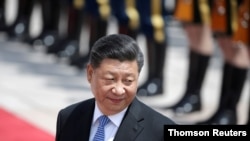 شی جینگپین، رئیس حکومت چین