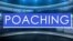 News Words: Poaching