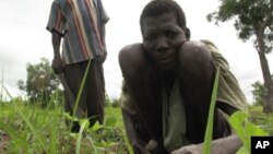 A laborer tends to a field in the Central African Republic, despite his affliction with river blindness. (File)