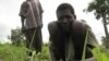 River Blindness Spread Believed Stopped Sudan Area