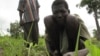 A laborer tends to a field in the Central African Republic (file)