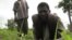 A laborer tends to a field in the Central African Republic, despite his affliction with river blindness. (File)