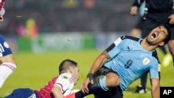 L'Uruguayais Luis Suarez, à droite, grimace de douleur après avoir été touché dans la zone de pénalité lors d'un match de qualification du Mondial 2018 contre le Paraguay, à Montevideo, Uruguay, 6 septembre 2016.