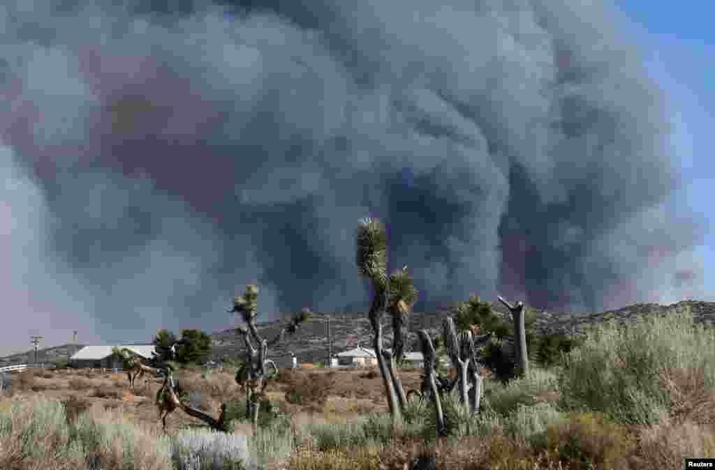 Asap mengepul akibat kebakaran hutan di Taman Nasional San Bernardino, California.