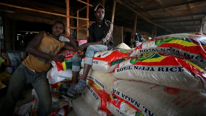 Production record de riz au Nigeria après l'interdiction des importations
