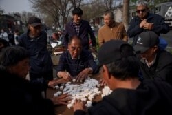 北京公园里的老年人在打麻将。（2021年4月6日）