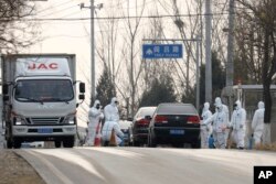 Workers disinfect passing vehicles in an area having the latest incident of African swine flu outbreak on the outskirts of Beijing, China, Friday, Nov. 23, 2018.