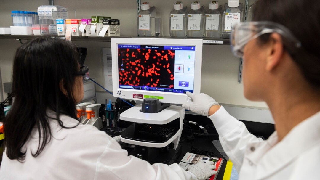 Dr. Sonia Macieiewski (R) and Dr. Nita Patel, Director of Antibody discovery and Vaccine development, look at a sample of a respiratory virus at Novavax labs in Rockville, Maryland on March 20, 2020, one of the labs developing a vaccine for the coronaviru