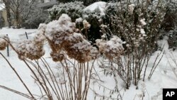 This image shows an outdoor garden covered in snow outside a home in Westchester County, N.Y. on Sunday, Feb. 7, 2021. (AP Photo/Julia Rubin)