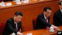 中国国家主席习近平在全国人大会议上