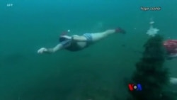 အတိတ်ဟောင်းစွန့်ပစ်ပွဲ၊ ရေခဲပြင်အောက်အပင်စိုက်သူတွေ