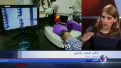 تحقیقات اخیر دانشگاه آکسفورد: نقش ژن پدر در تعیین جنسیت فرزند