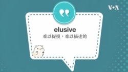 学个词--elusive