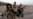 Obama Authorizes Up to 1,500 More Troops for Iraq
