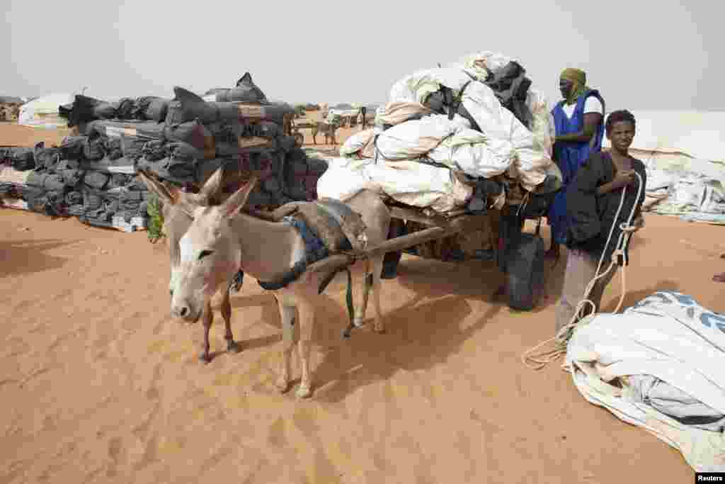 Refugee camp officials transport tents on a donkey-driven cart in the Mbera refugee camp, about 40 km (25 miles) from the border with Mali. About half of more than 320,000 Malians who have fled their homes due to the conflict in northern Mali have settled in refugee camps in neighbouring countries.